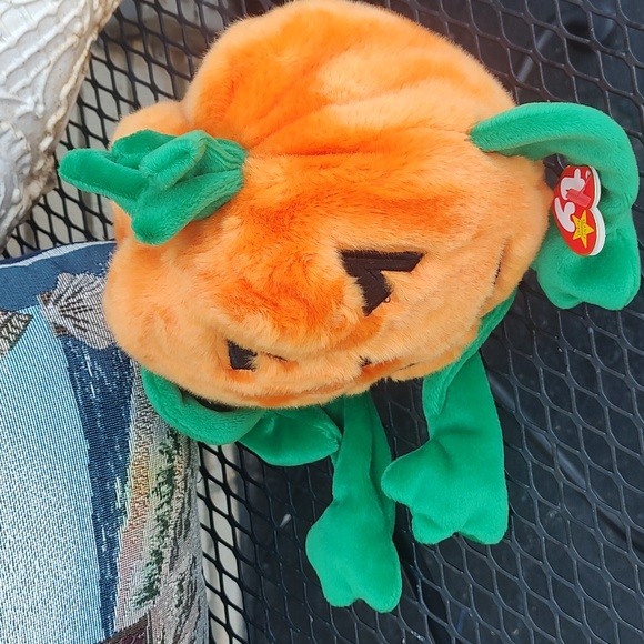 Pumpkin 🎃 Ty - Picture 7 of 10